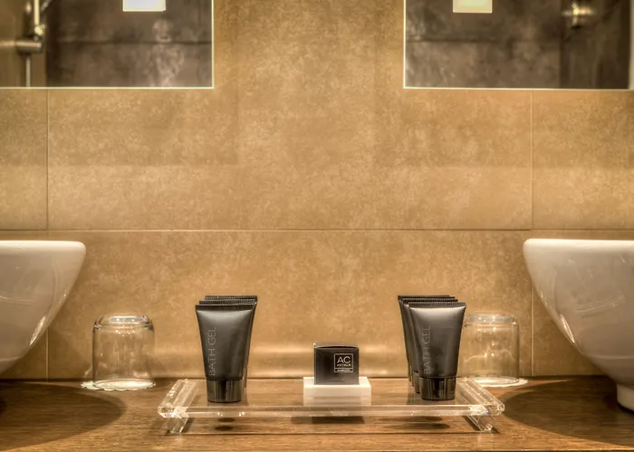 Hotel Ac By Marriott Ambassadeur Antibes - Les Pins 4*